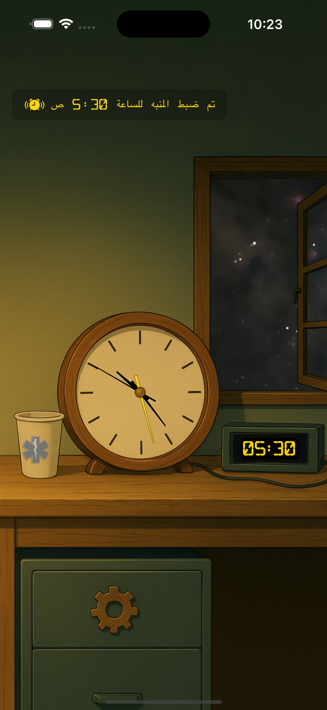 العرض الرئيسي