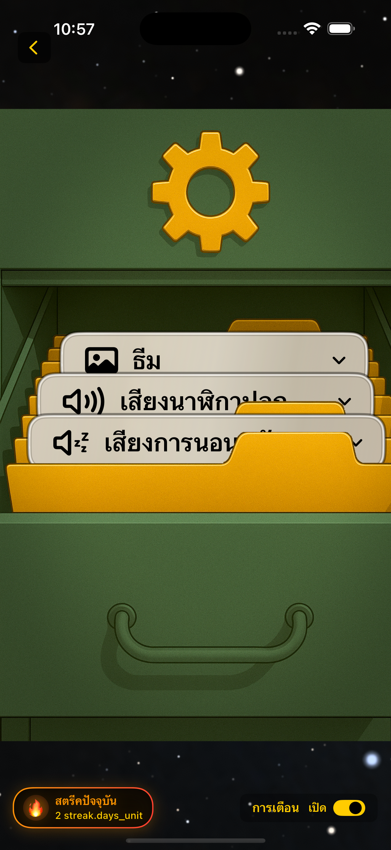 การตั้งค่า